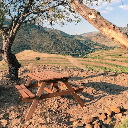 Casa Do Losango - The Douro River As A Border Holiday home Coleja