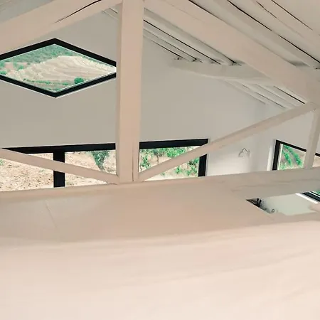 Casa Do Losango - The Douro River As A Border Holiday home