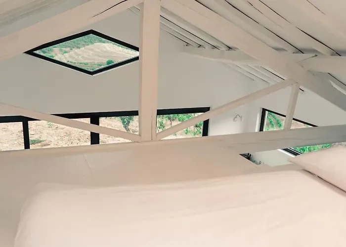 Casa Do Losango - The Douro River As A Border Tatil Evi